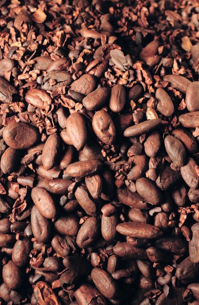 Cacao tostado con tostador ROURE